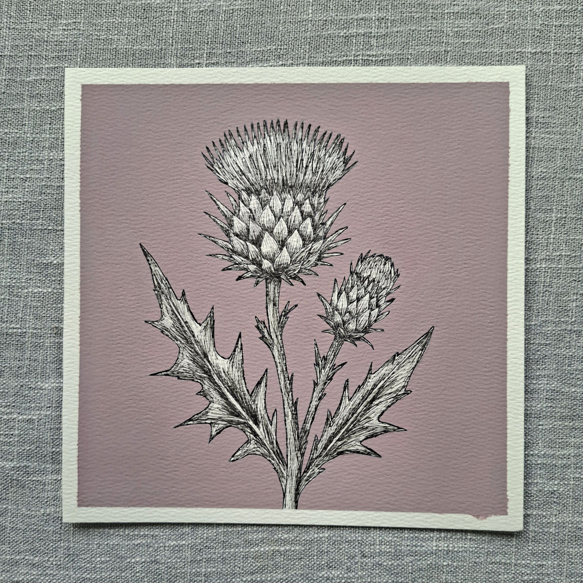 Original Thistle Painting 8 x 8 inch Fineliner and Acrylic Artwork