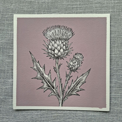 Original Thistle Painting 8 x 8 inch Fineliner and Acrylic Artwork