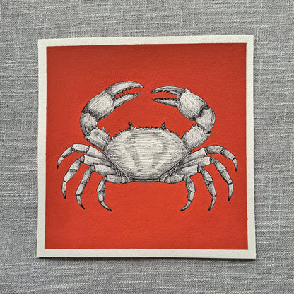 Original Crab Painting 8 x 8 inch Fineliner and Acrylic Artwork
