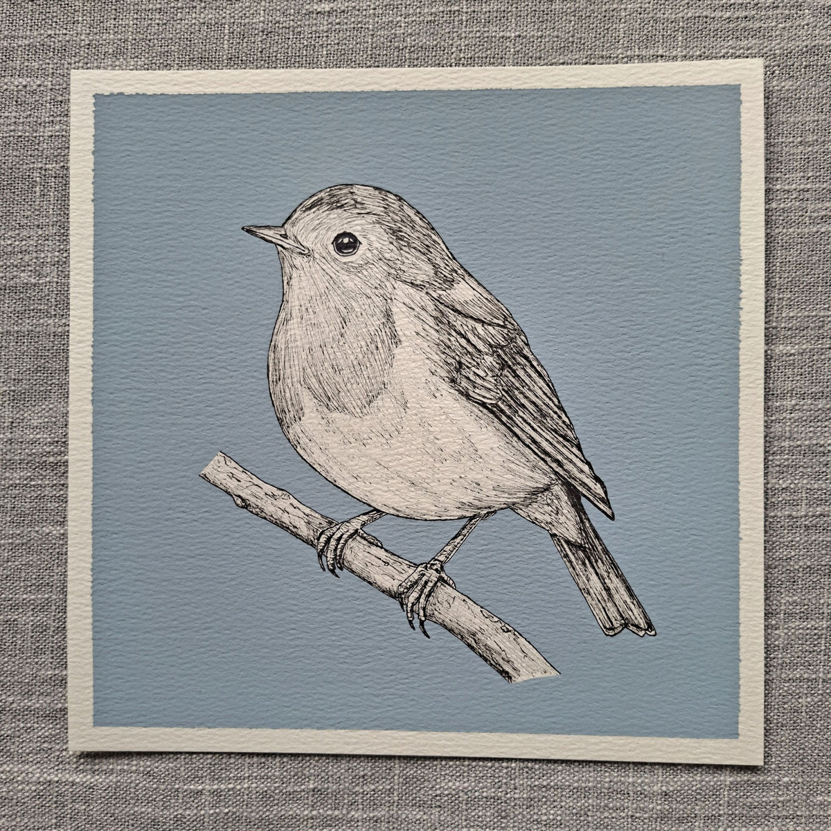 Original Robin Painting 8 x 8 inch Fineliner and Acrylic Artwork