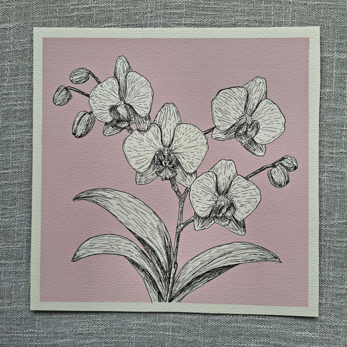Original Orchid Painting 8 x 8 inch Fineliner and Acrylic Artwork